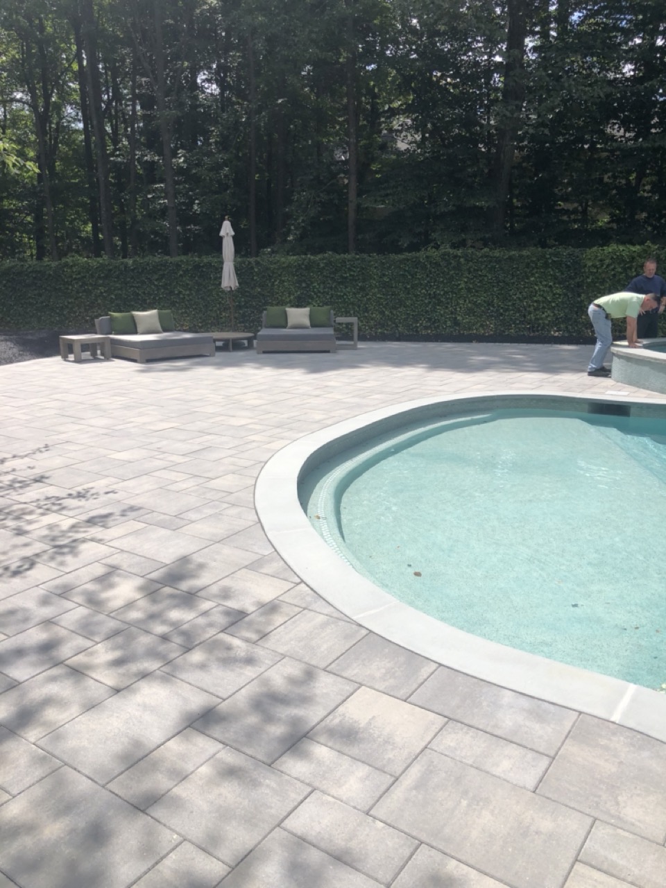 Large-format paver pool deck with outdoor lounge and arborvitae hedge — Alpine