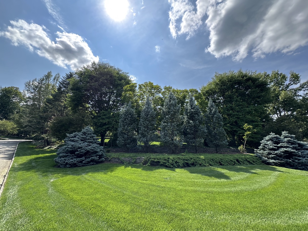 Lawn Maintenance