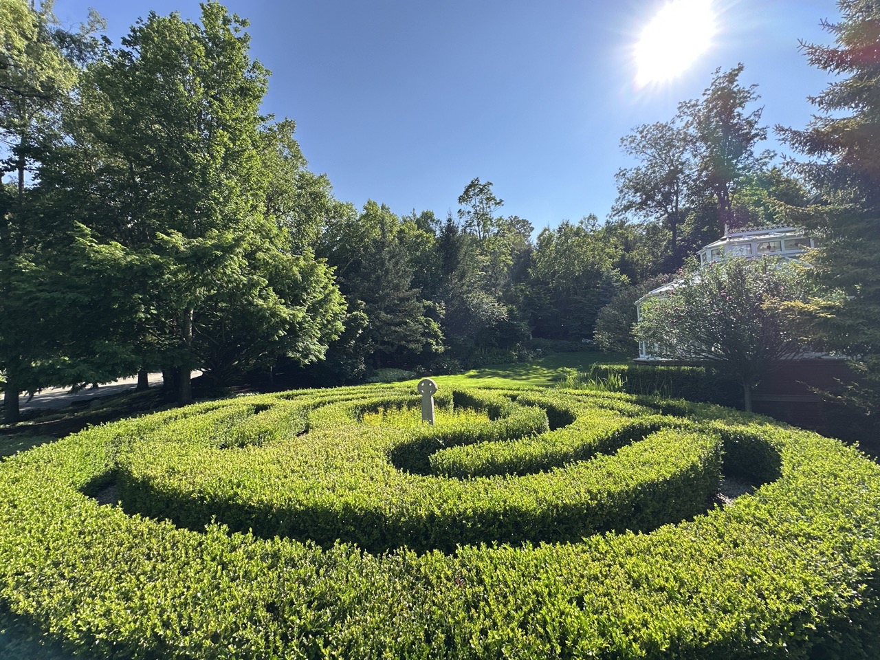 Boxwood maze showing manicured geometric pattern