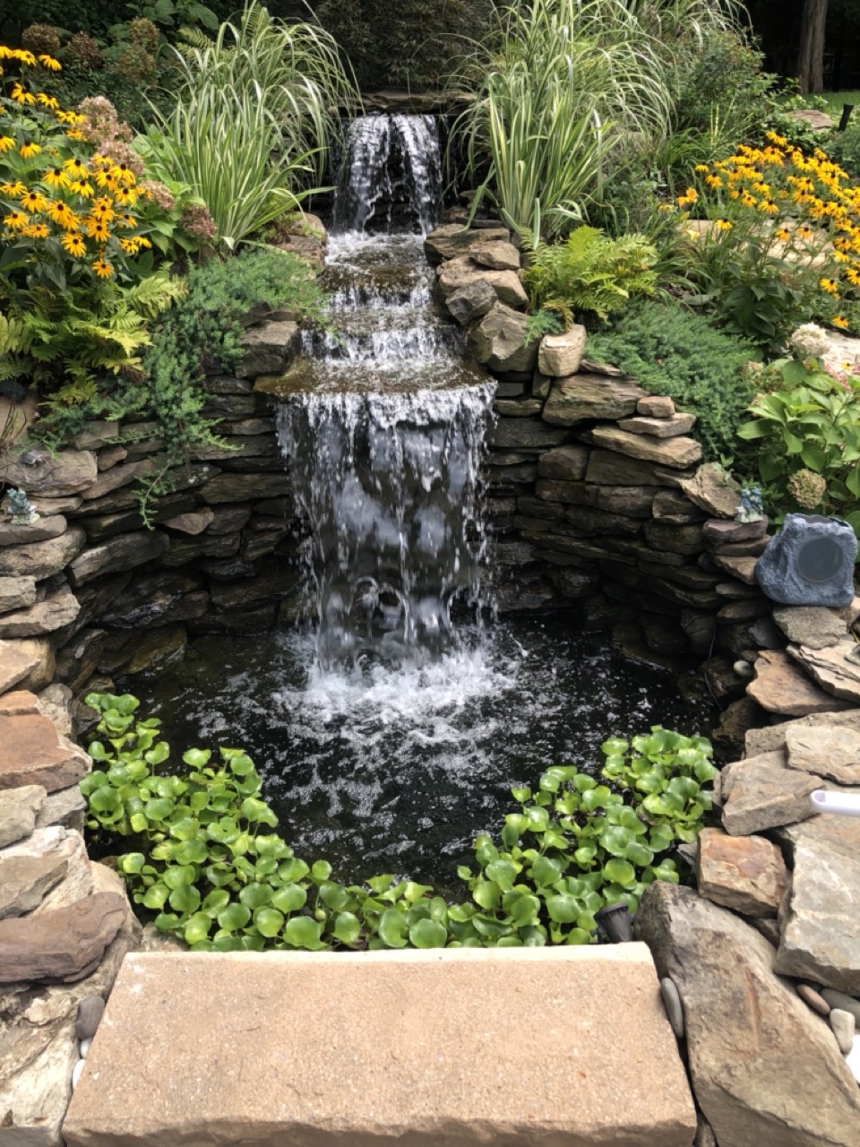 Tiered fieldstone waterfall cascading into a pond with water hyacinth and perennial garden — Mahwah