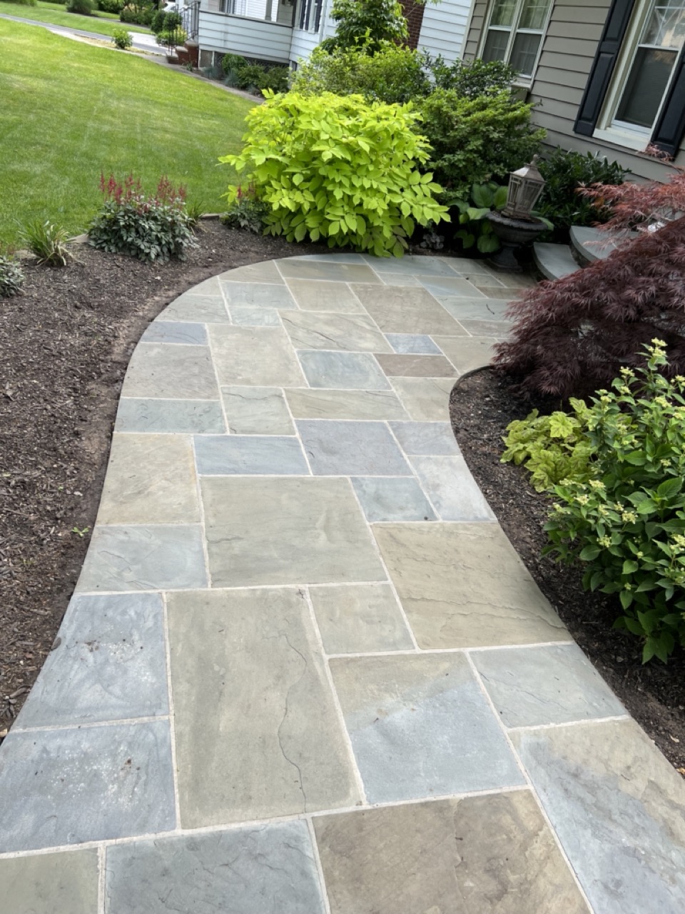 Large-format paver front walkway with landscape lighting and foundation plantings