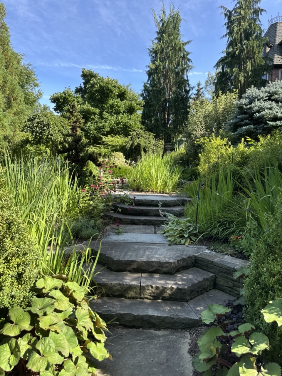Natural stone staircase flanked by ornamental grasses